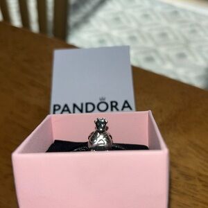 Exclusive Pandora Winniper Charm